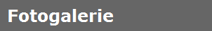 Fotogalerie
